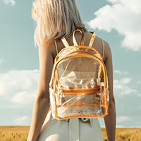 Transparent Backpack Bag