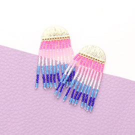 Colorful Seed Bead Fringe Dangle Earrings