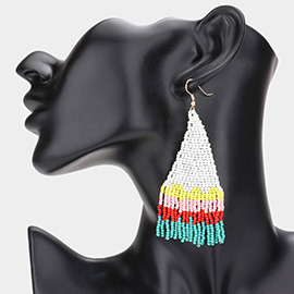 Seed Beaded Fringe Dangle Earrings