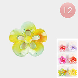 12PCS - Resin Ombre Flower Hair Claw Clips