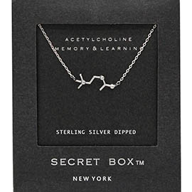 SECRET BOX_Sterling Silver Dipped Acetylcholine Hormone Molecule Necklace