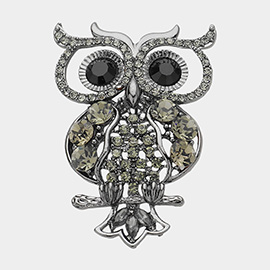 Stone Embellished Owl Pin Brooch